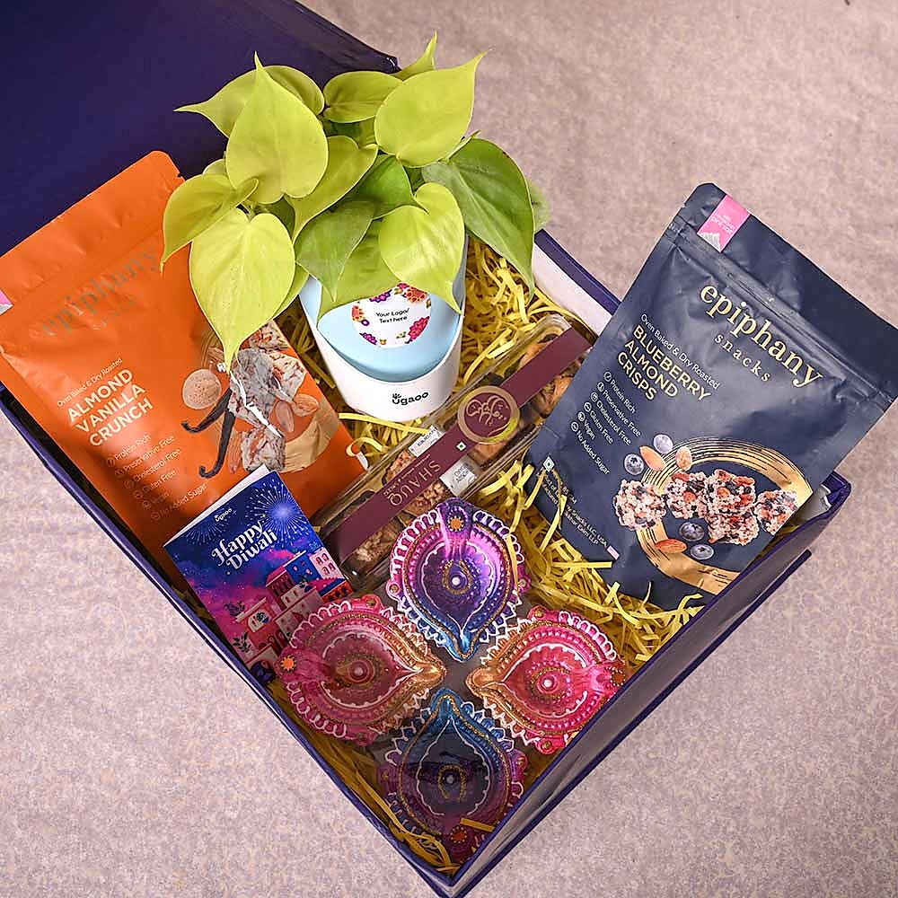 Philodendron Oxycardium &amp; Epiphany Diwali Gift Hamper