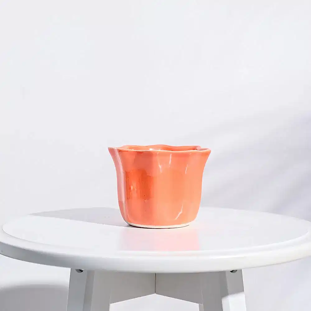 NUCP0219