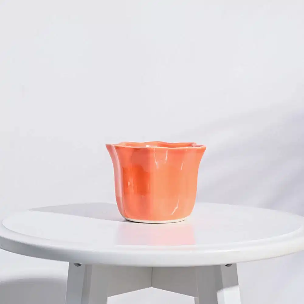 NUCP0219