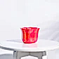 NUCP0220
