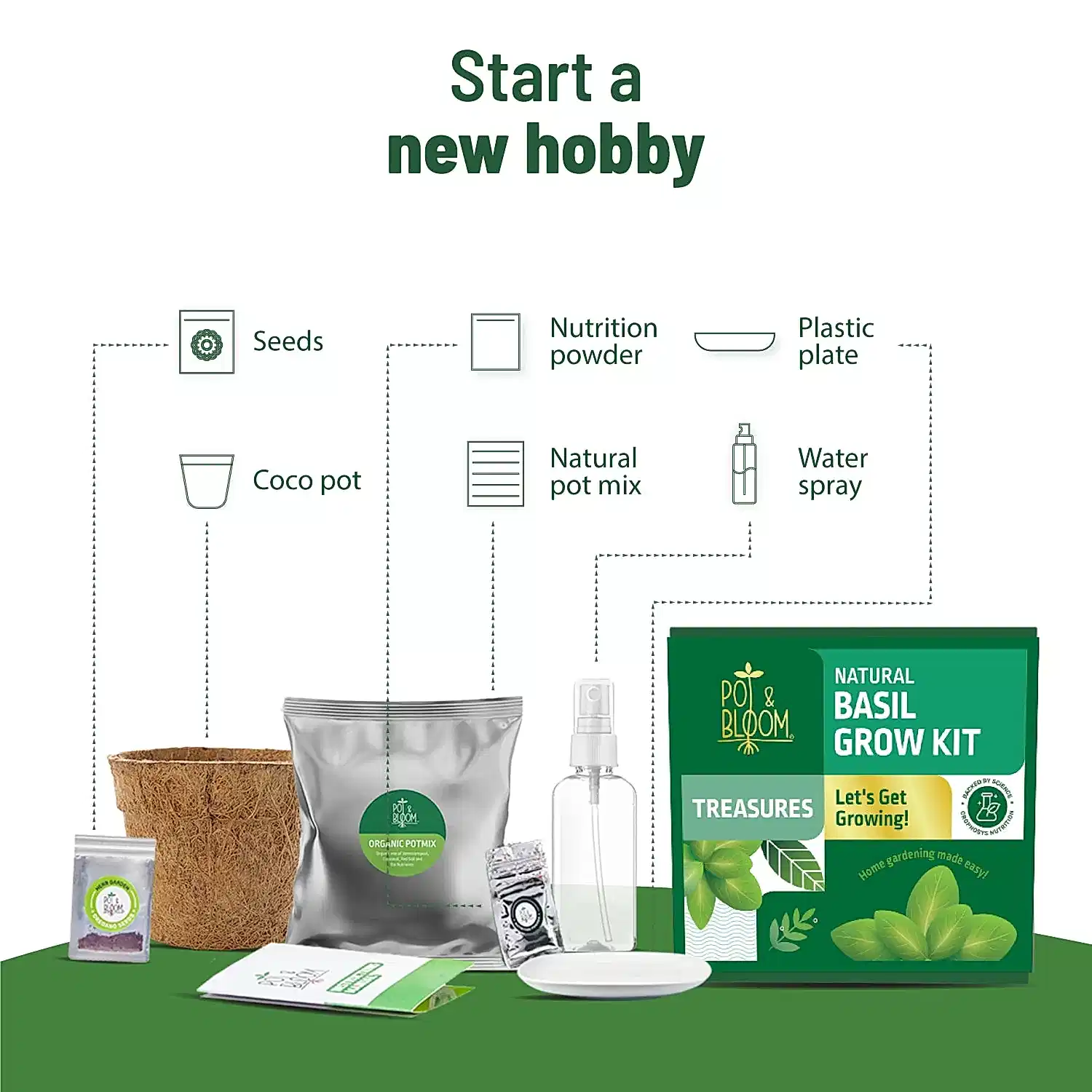 Treasures Basil Kit