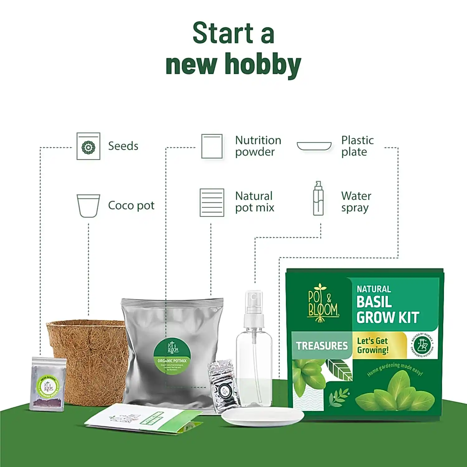 Treasures Basil Kit