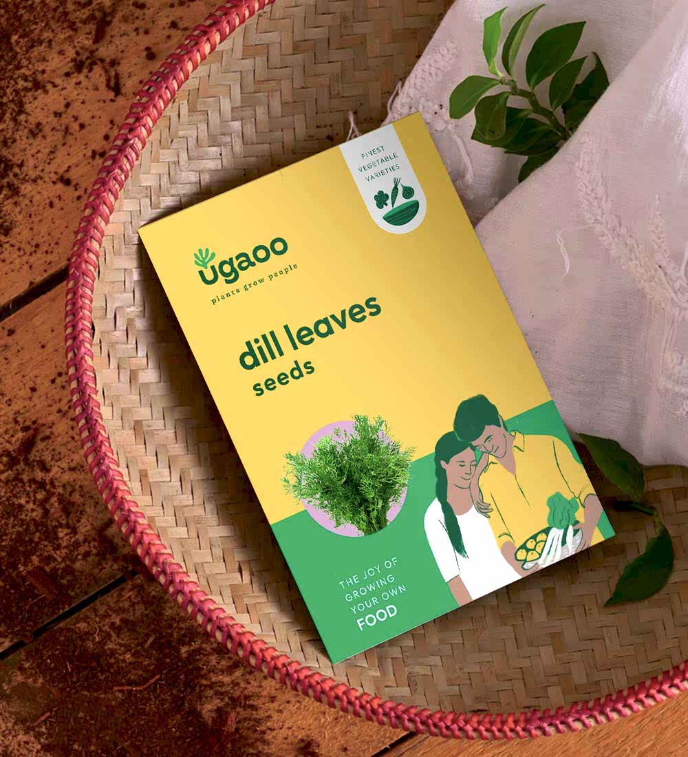 Dill Leaves Seeds (Suwa)