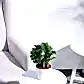 NUPL0485KLG