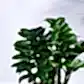 NUPL0485KYL