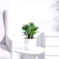 NUPL0485GWT