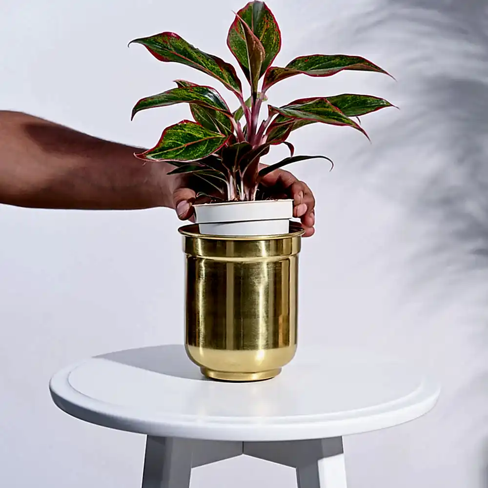 Aurelian Cylindrical Planter