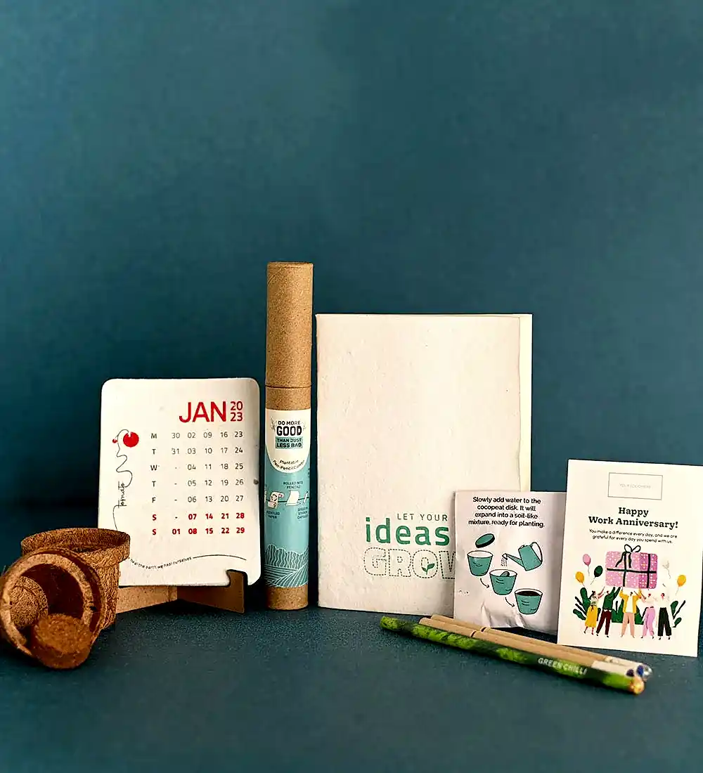 Money Plant Golden and Plantable Essential Box