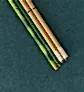 Money Plant Golden and Plantable Essential Box