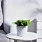 spiro-white