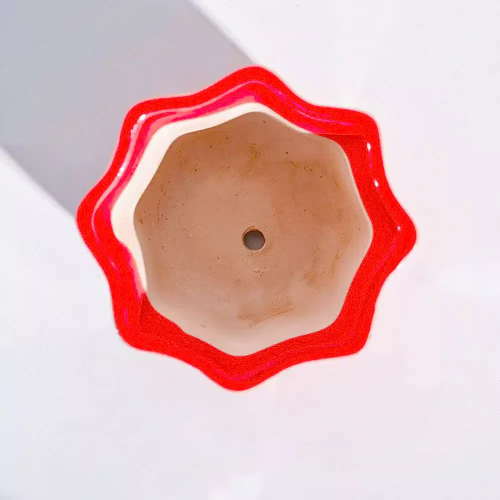 NUCP0220