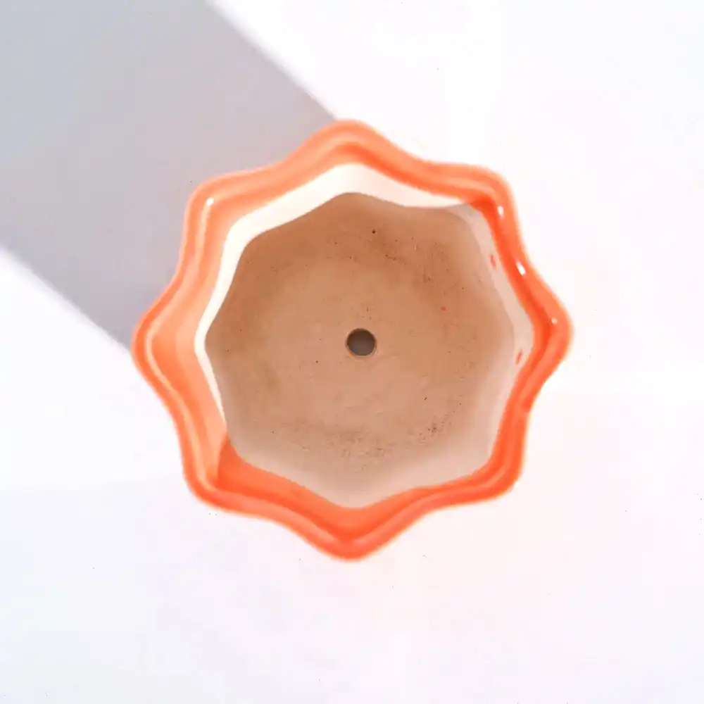 NUCP0219
