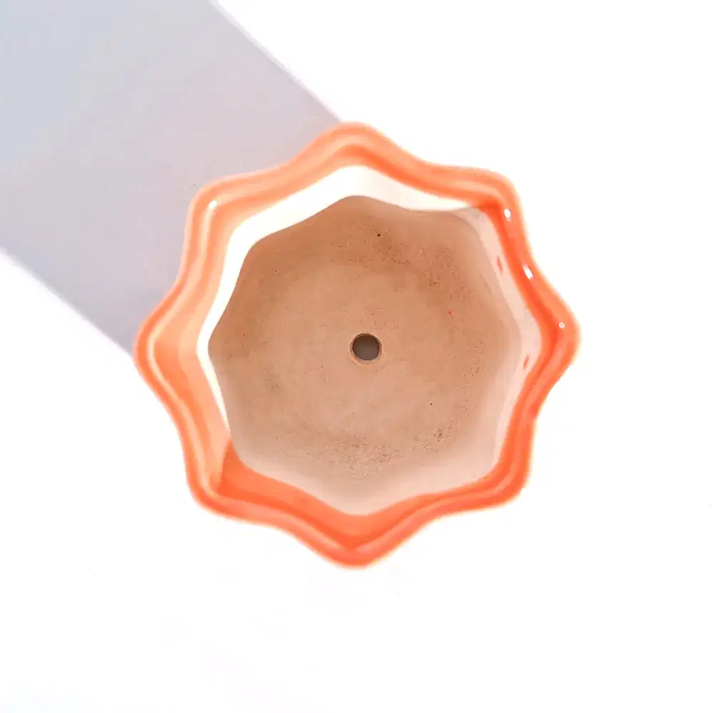 NUCP0219