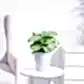 NUPL0550VLG
