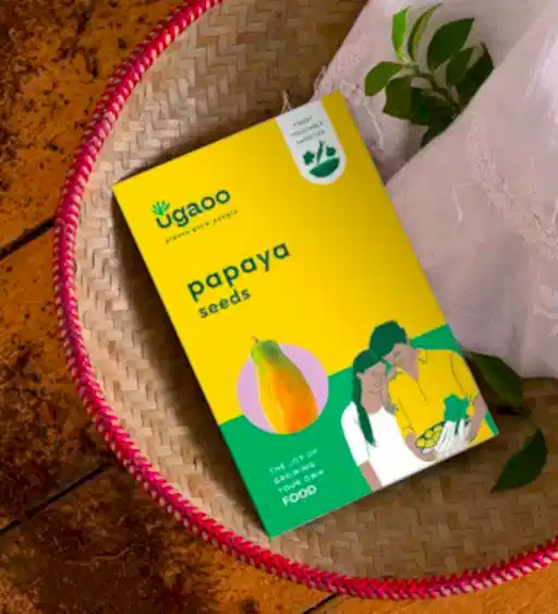 Papaya seeds
