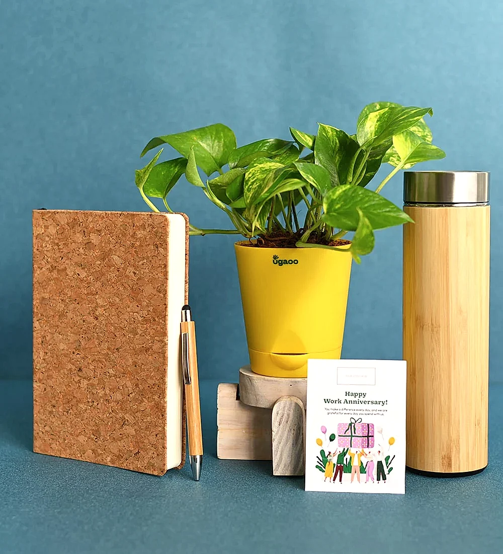 Plant with Cork Notebook, Pen &amp; Bamboo Vacuum Flask