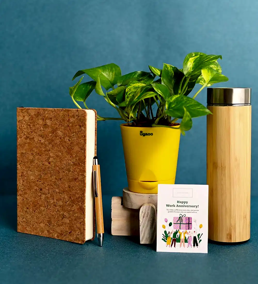 Plant with Cork Notebook, Pen &amp; Bamboo Vacuum Flask