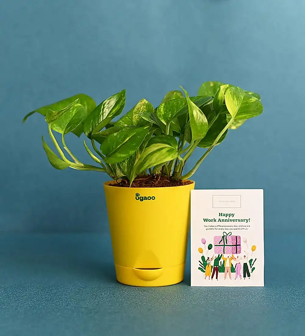 Plant with Cork Notebook, Pen &amp; Bamboo Vacuum Flask