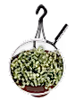 String of Nickels